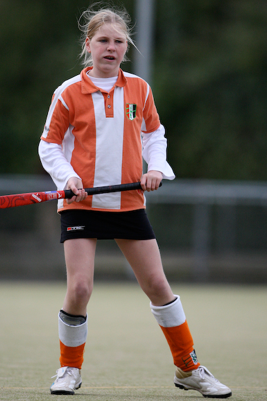 Terriers_Hic_2_4_411