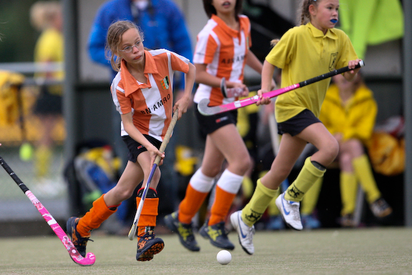 Terriers_Hic_2_4_423