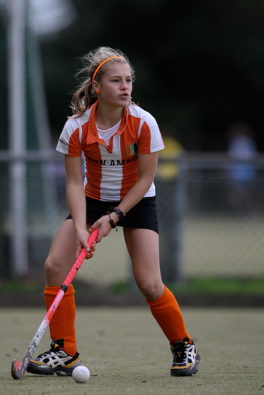 Terriers_Hic_2_4_455