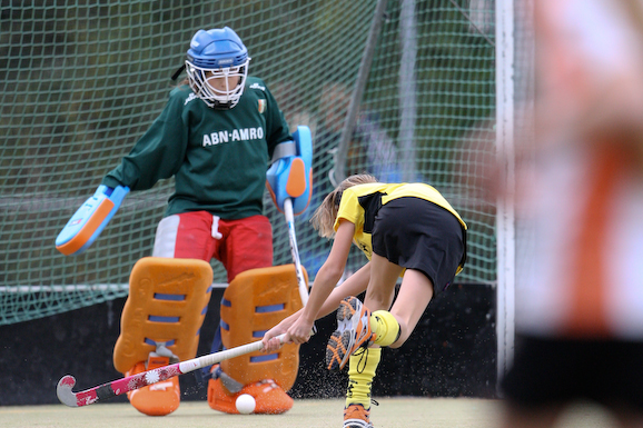 Terriers_Hic_2_4_481