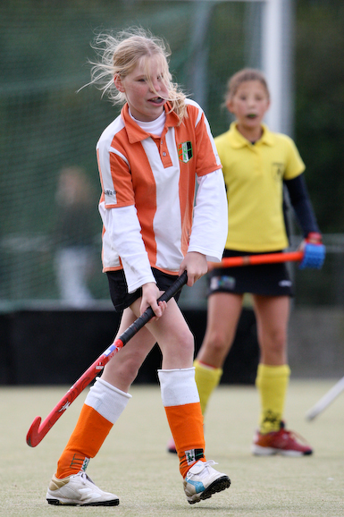 Terriers_Hic_2_4_511