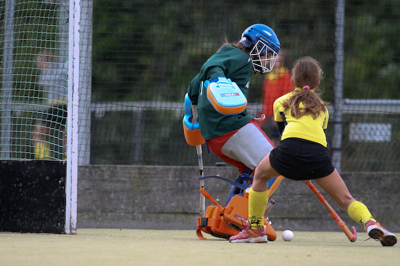 Terriers_Hic_2_4_515