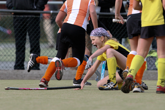 Terriers_Hic_2_4_532