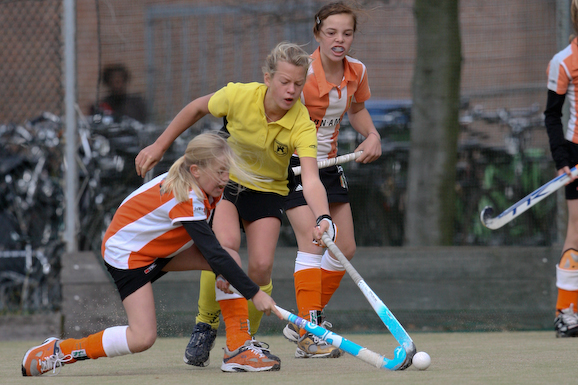 Terriers_Hic_2_4_571