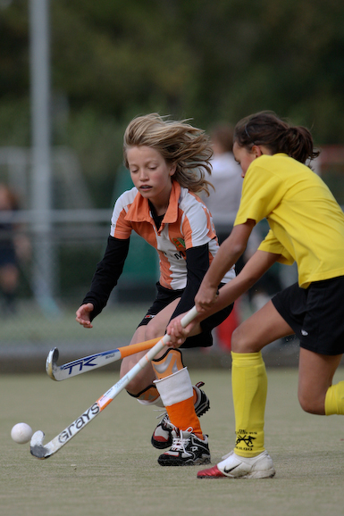 Terriers_Hic_2_4_591